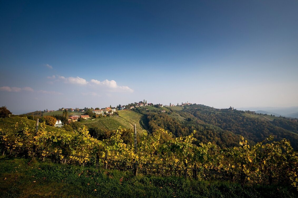 Bike Riding Sausaler Tour - Touren-Impression #1 | © TVB Südsteiermark / TRV SWS Tom Lamm