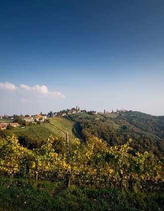 Kitzeck im Sausal | TRV SWS | Tom Lamm | © TVB Südsteiermark / TRV SWS Tom Lamm