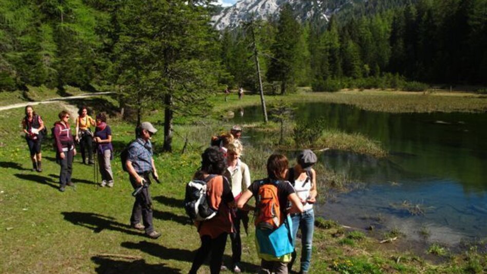 Hiking route To the Josersee - Touren-Impression #2.3 | © Verein Heilpflanzenwissen