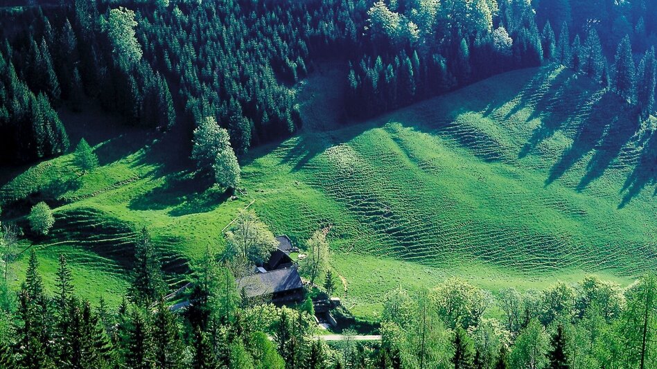 Hiking route To the Josersee - Touren-Impression #2.5 | © TV Hochsteiermark