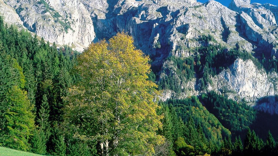 Hiking route To the Josersee - Touren-Impression #2.7 | © TV Hochsteiermark