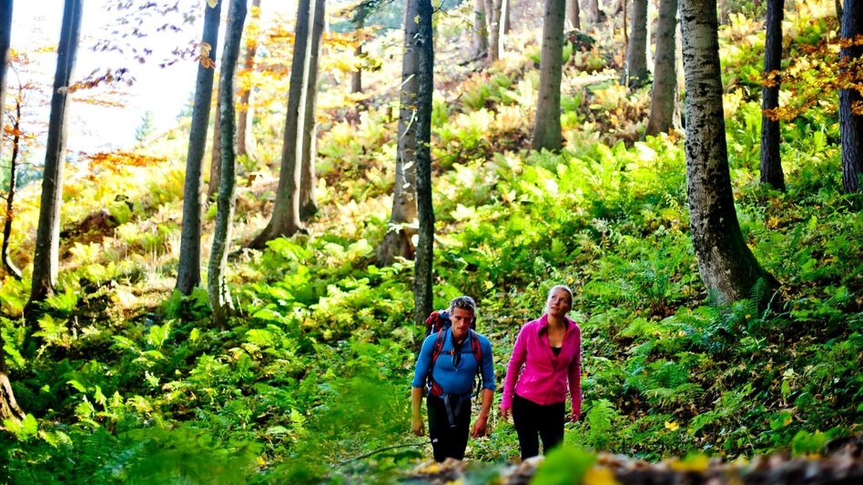 Hiking route To the Josersee - Touren-Impression #2.8 | © Steiermark Tourismus