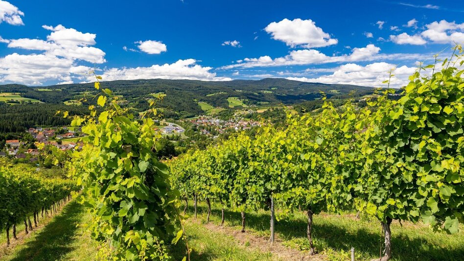 Wanderung Keltenweg lang - Touren-Impression #2.2 | © Region Graz