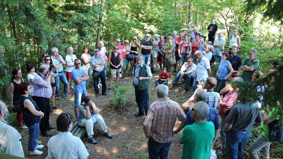 Wanderung Keltenweg lang - Touren-Impression #2.4 | © TV Ligist