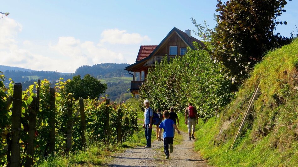 Wanderung Keltenweg lang - Touren-Impression #2.7 | © TV Ligist
