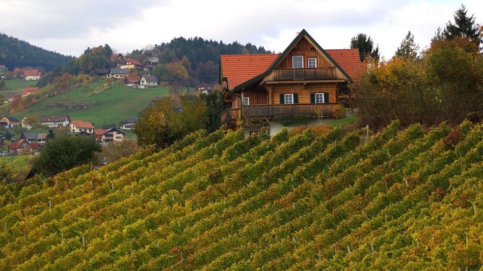 Wanderung Keltenweg lang - Touren-Impression #2.9 | © TV Ligist