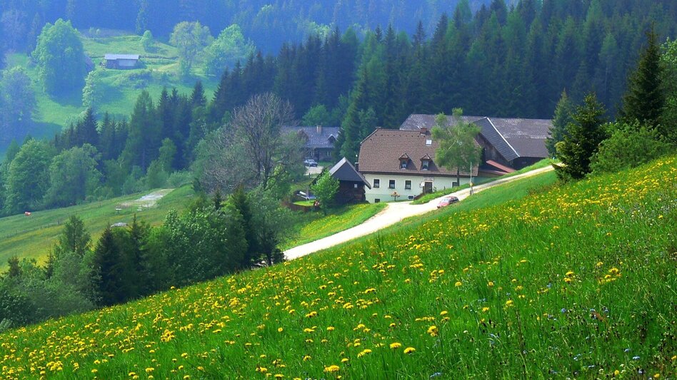 Mountain Biking Through the Traibachgraben to Hauereck - Touren-Impression #2.3 | © TV Hochsteiermark