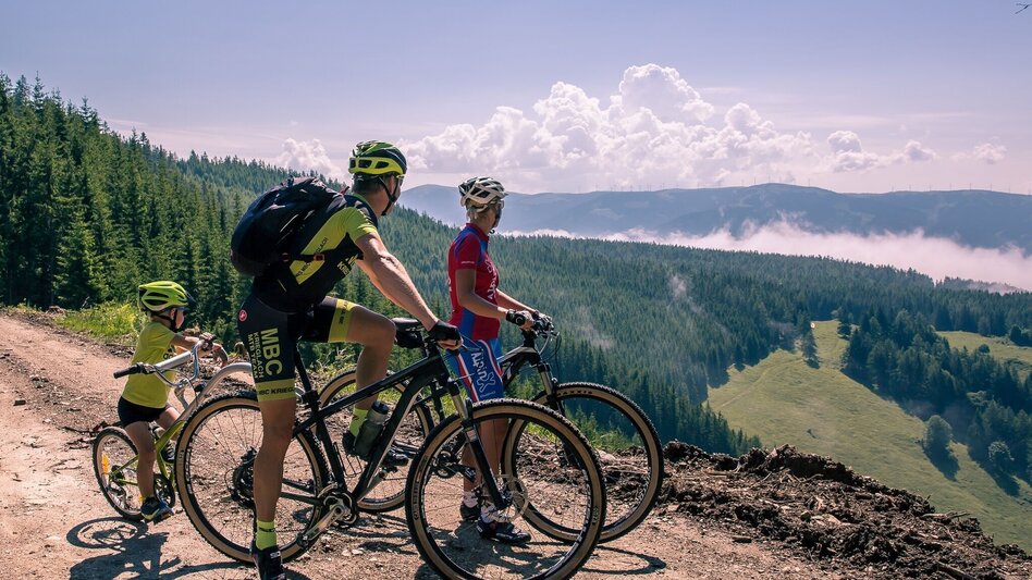 Mountain Biking Mountain Bike Loop: Langenwang – Hönigsberg – Malleisten Alm – Langenwang - Touren-Impression #2.1 | © TV Hochsteiermark