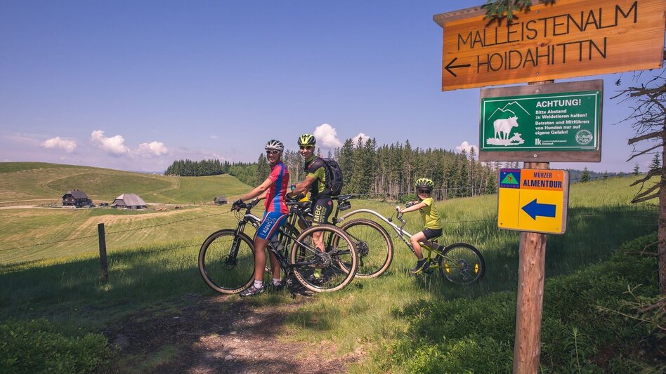 Mountain Biking Mountain Bike Loop: Langenwang – Hönigsberg – Malleisten Alm – Langenwang - Touren-Impression #2.2 | © TV Hochsteiermark