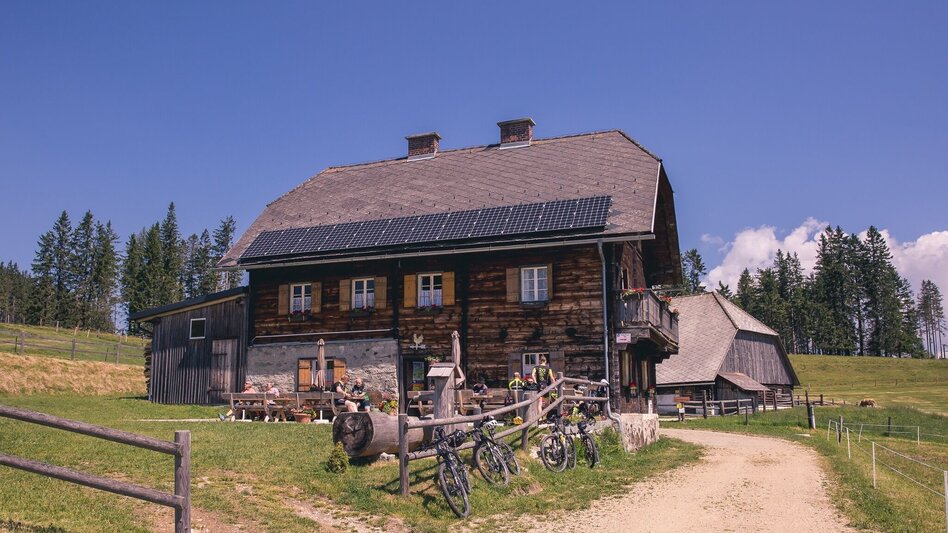 Mountain Biking Mountain Bike Loop: Langenwang – Hönigsberg – Malleisten Alm – Langenwang - Touren-Impression #2.3 | © TV Hochsteiermark
