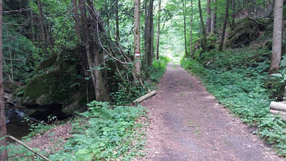 Wanderung Voitsberger Wasser-Kraft-Marsch - Touren-Impression #2.11 | © Region Graz