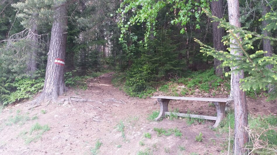 Wanderung Voitsberger Wasser-Kraft-Marsch - Touren-Impression #2.19 | © Region Graz