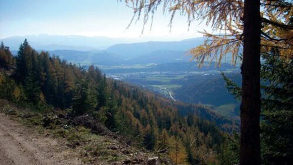 Mountainbike Silbersberg Tour LN10 - Touren-Impression #2.2 | © TV Hochsteiermark