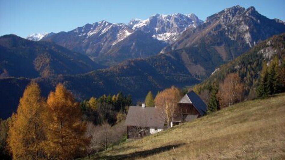Mountainbike Silbersberg Tour LN10 - Touren-Impression #2.3 | © TV Hochsteiermark