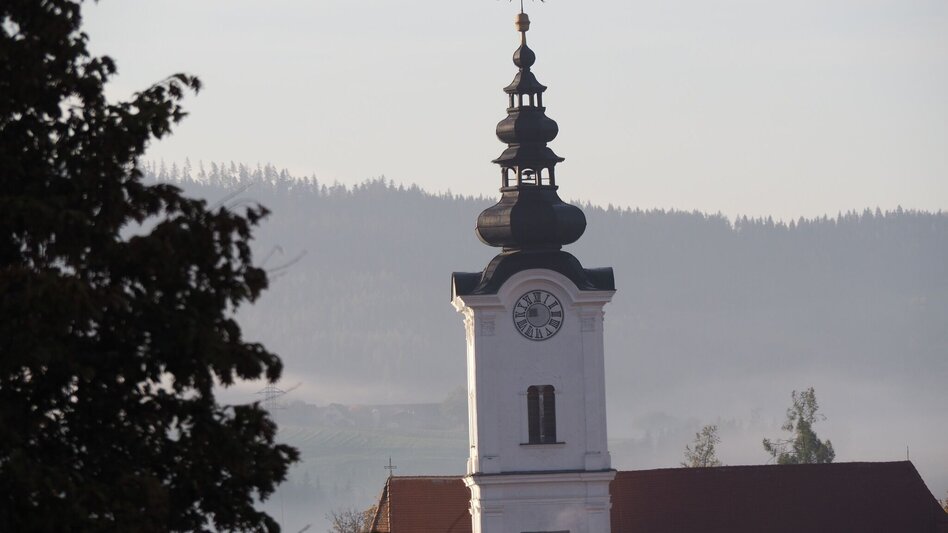Mountainbike Silbersberg Tour LN10 - Touren-Impression #2.9 | © Tourismusverband ERZBERG LEOBEN