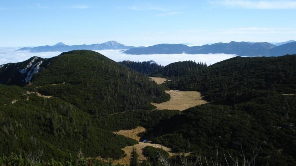 Bergtour Gamssteinrunde - Touren-Impression #2.3 | © Gesäuse - Palfau