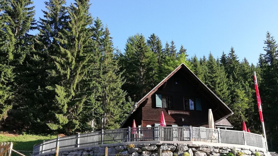 Bergtour Gamssteinrunde - Touren-Impression #2.5 | © TV Gesäuse