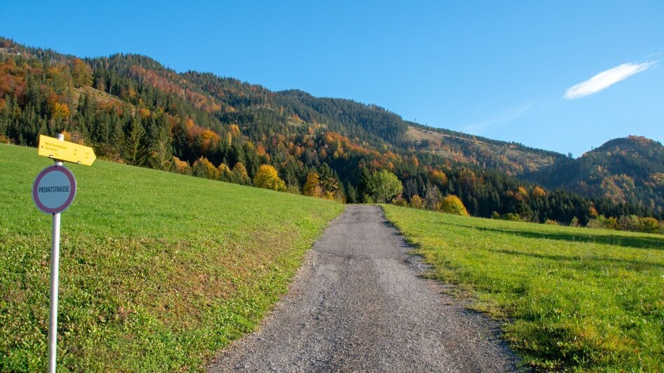 Bergtour Gamssteinrunde - Touren-Impression #2.6 | © TV Gesäuse