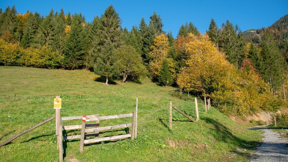 Bergtour Gamssteinrunde - Touren-Impression #2.7 | © TV Gesäuse