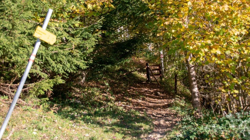 Bergtour Gamssteinrunde - Touren-Impression #2.8 | © TV Gesäuse