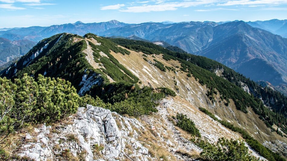 Bergtour Gamssteinrunde - Touren-Impression #2.11 | © TV Gesäuse