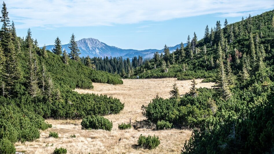Bergtour Gamssteinrunde - Touren-Impression #2.12 | © TV Gesäuse