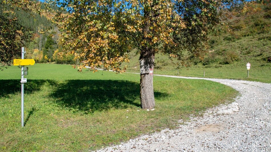 Bergtour Gamssteinrunde - Touren-Impression #2.13 | © TV Gesäuse