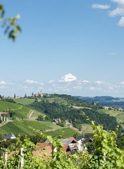 Lage mittem im Weinberg | © TV Südsteiermark - WEGES | WEGES | © TV Südsteiermark - WEGES