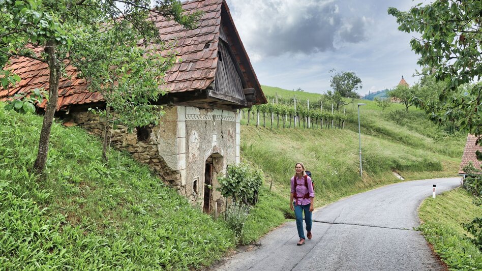 Hiking route Kitzeck-Demmerkogel Round K4 - Touren-Impression #2.3 | © TV Südsteiermark - WEGES