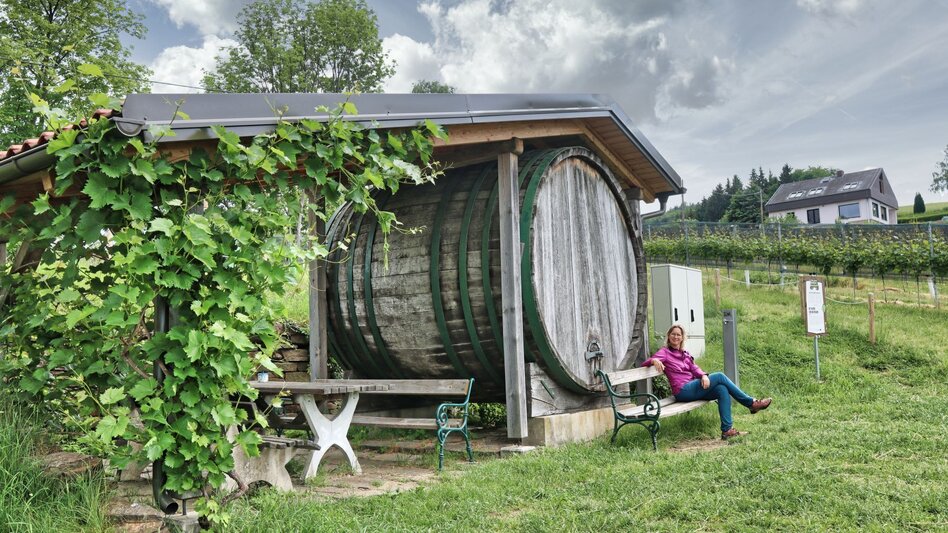 Hiking route Kitzeck-Demmerkogel Round K4 - Touren-Impression #2.4 | © TV Südsteiermark - WEGES