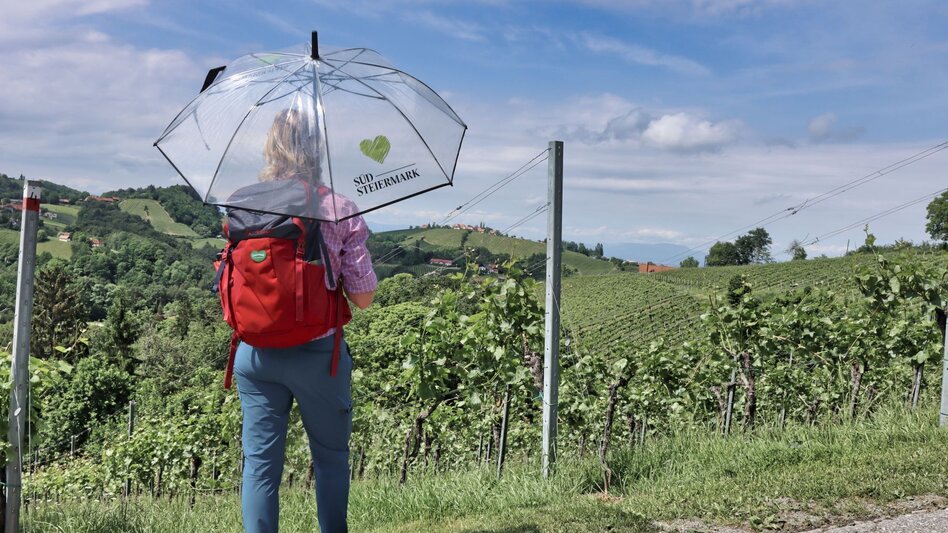 Hiking route Kitzeck-Demmerkogel Round K4 - Touren-Impression #2.7 | © Südsteiermark