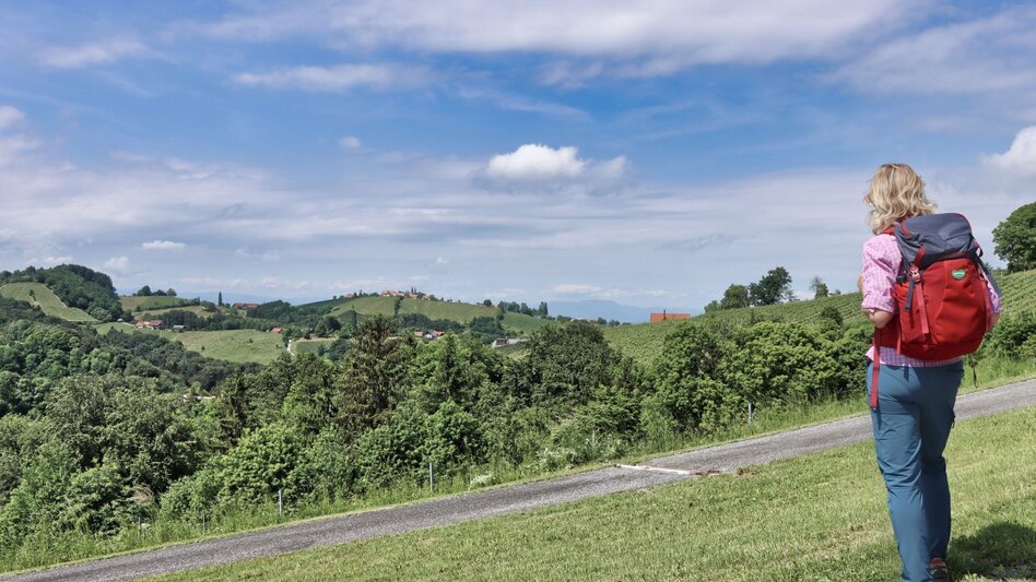 Hiking route Kitzeck-Demmerkogel Round K4 - Touren-Impression #2.8 | © TV Südsteiermark - WEGES