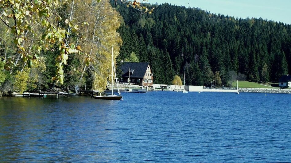 Hiking route Packer Naturerlebnis - Touren-Impression #2.4 | © TV Steirische Rucksackdörfer
