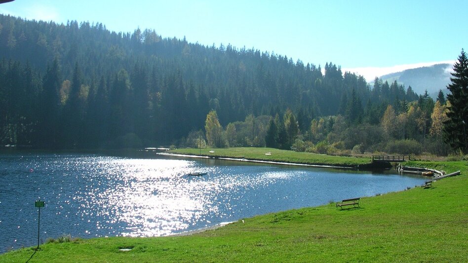 Hiking route Packer Naturerlebnis - Touren-Impression #2.5 | © TV Steirische Rucksackdörfer