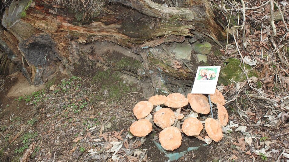 Hiking route Packer Naturerlebnis - Touren-Impression #2.7 | © Region Graz