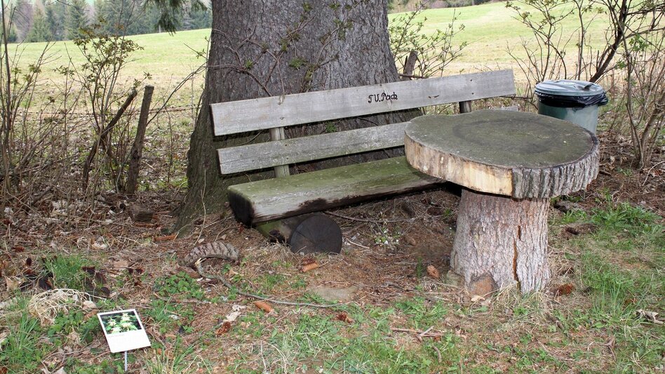 Hiking route Packer Naturerlebnis - Touren-Impression #2.10 | © Region Graz