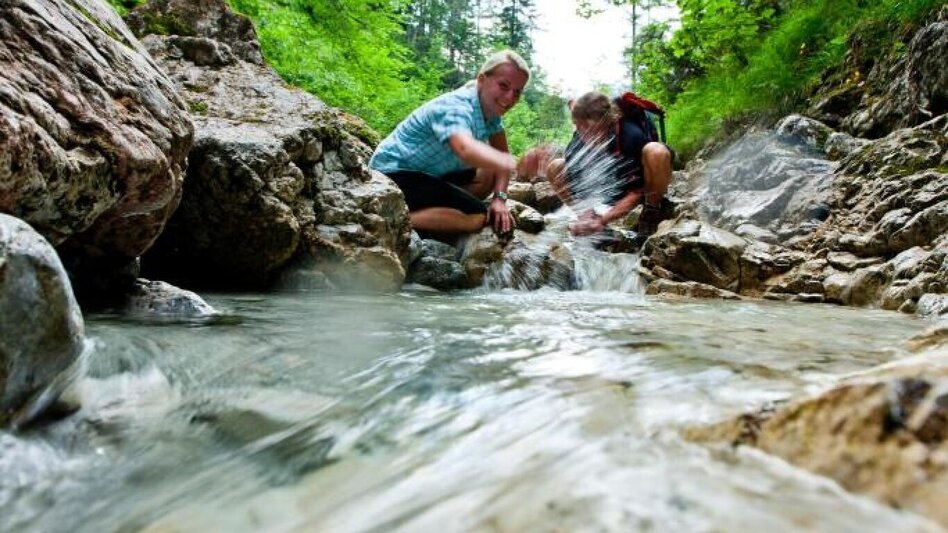Hiking route Alpine hike to Gams and Edelweiss - Touren-Impression #2.1 | © Steiermark Tourismus