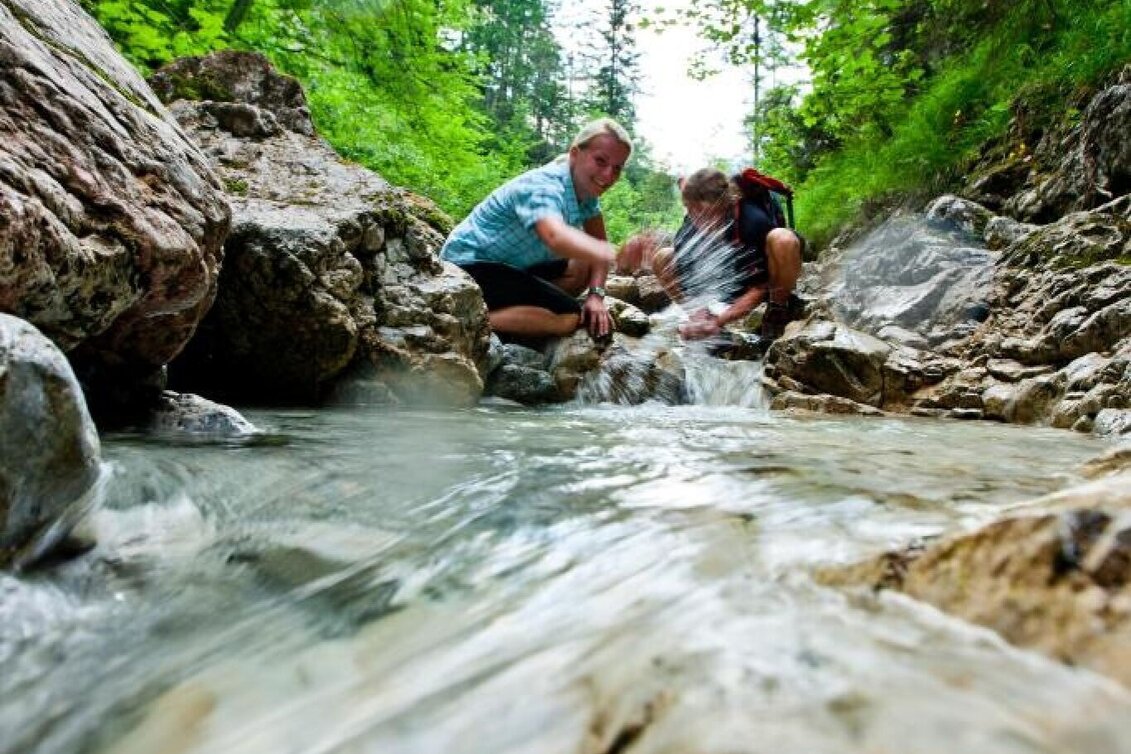 Hiking route Alpine hike to Gams and Edelweiss - Touren-Impression #1 | © Steiermark Tourismus