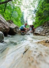 In der Fölz | © Steiermark Tourismus | Tom Lamm | © Steiermark Tourismus