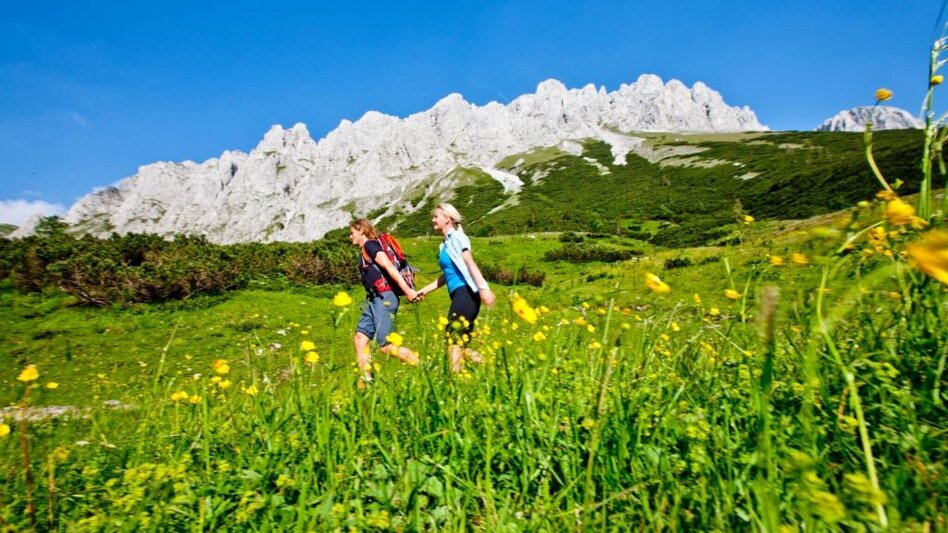 Hiking route Alpine hike to Gams and Edelweiss - Touren-Impression #2.4 | © Steiermark Tourismus