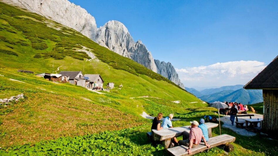Hiking route Alpine hike to Gams and Edelweiss - Touren-Impression #2.6 | © Steiermark Tourismus