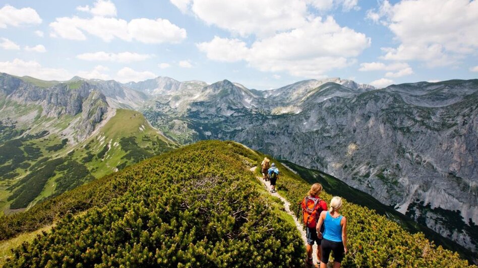 Hiking route Alpine hike to Gams and Edelweiss - Touren-Impression #2.10 | © Steiermark Tourismus