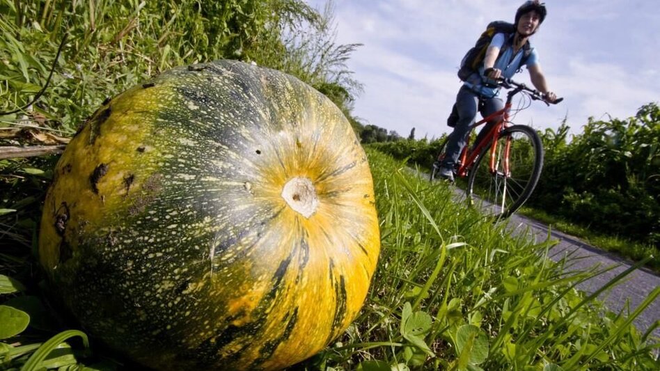 Bike Riding Beetle Bean Tour to the Cities of Culture - Touren-Impression #2.2 | © Steiermark Tourismus/Gerhard Eisenschink