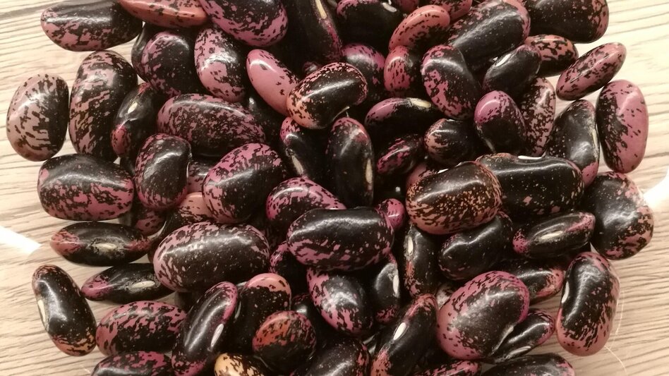 Bike Riding Beetle Bean Tour to the Cities of Culture - Touren-Impression #2.7 | © Oststeiermark Tourismus