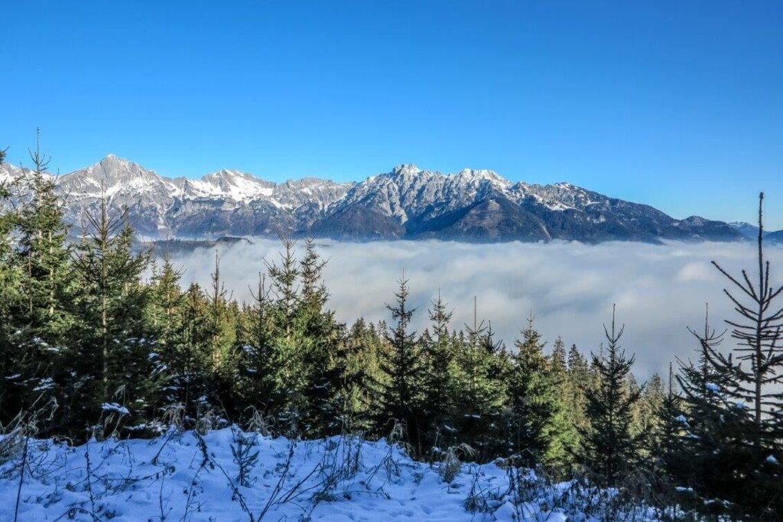 Mountain Hike Dürrenschöberl - Touren-Impression #1 | © TV Gesäuse