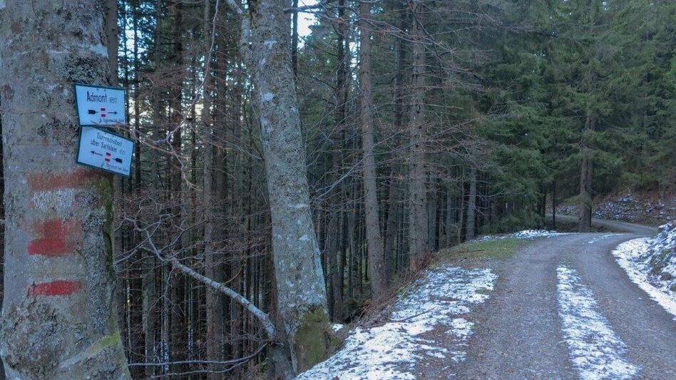 Mountain Hike Dürrenschöberl - Touren-Impression #2.4 | © TV Gesäuse