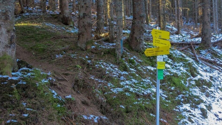 Mountain Hike Dürrenschöberl - Touren-Impression #2.5 | © TV Gesäuse