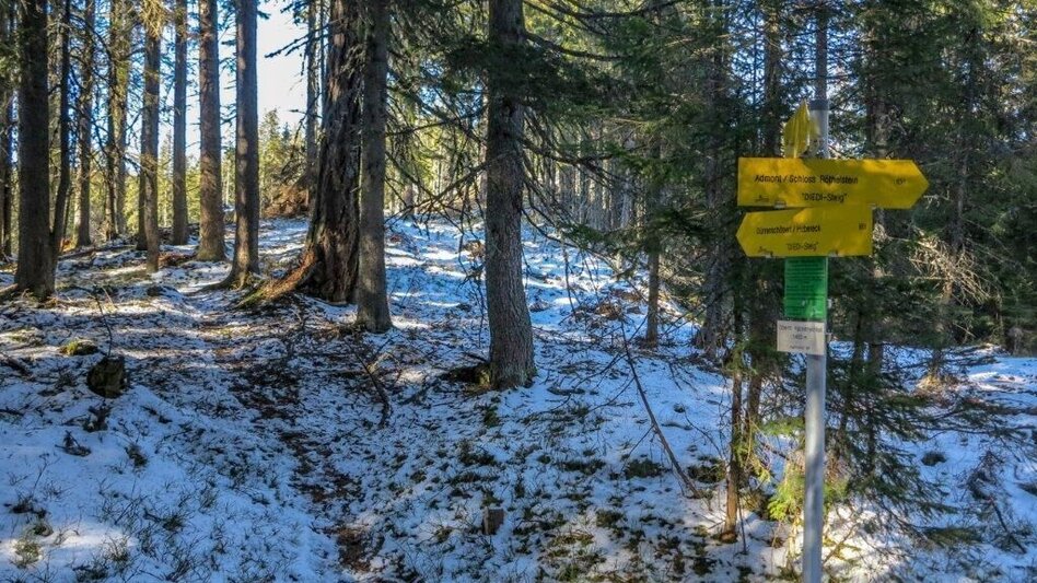 Mountain Hike Dürrenschöberl - Touren-Impression #2.6 | © TV Gesäuse