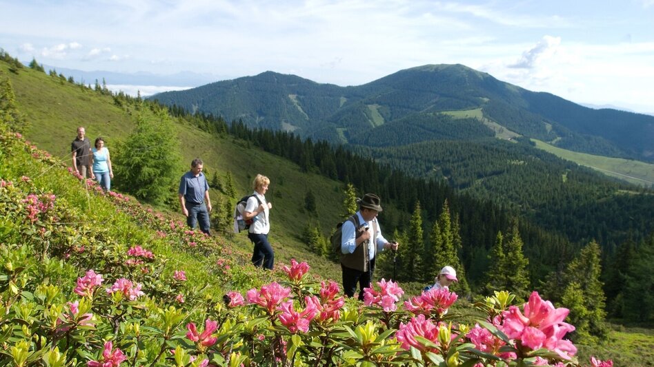 Wanderung Vom Salzstiegl auf die Pack - Grenzwanderung zwischen Steiermark und Kärnten - Touren-Impression #2.3 | © www.spengerwirt.at