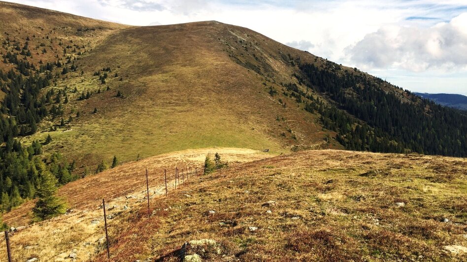 Wanderung Vom Salzstiegl auf die Pack - Grenzwanderung zwischen Steiermark und Kärnten - Touren-Impression #2.5 | © Region Graz